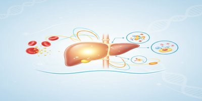 What is Gilbert Syndrome? Gilbert Syndrome Symptoms, Bilirubin Elevation and Treatment