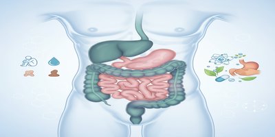 What is Irritable Bowel Syndrome (IBS)? IBS Symptoms and Treatment
