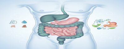 What is Irritable Bowel Syndrome (IBS)? IBS Symptoms and Treatment