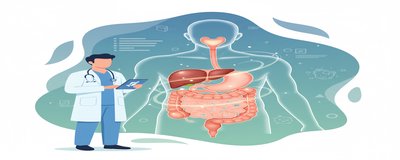 Who is a Gastroenterology Doctor? What Does a Gastroenterologist Do?