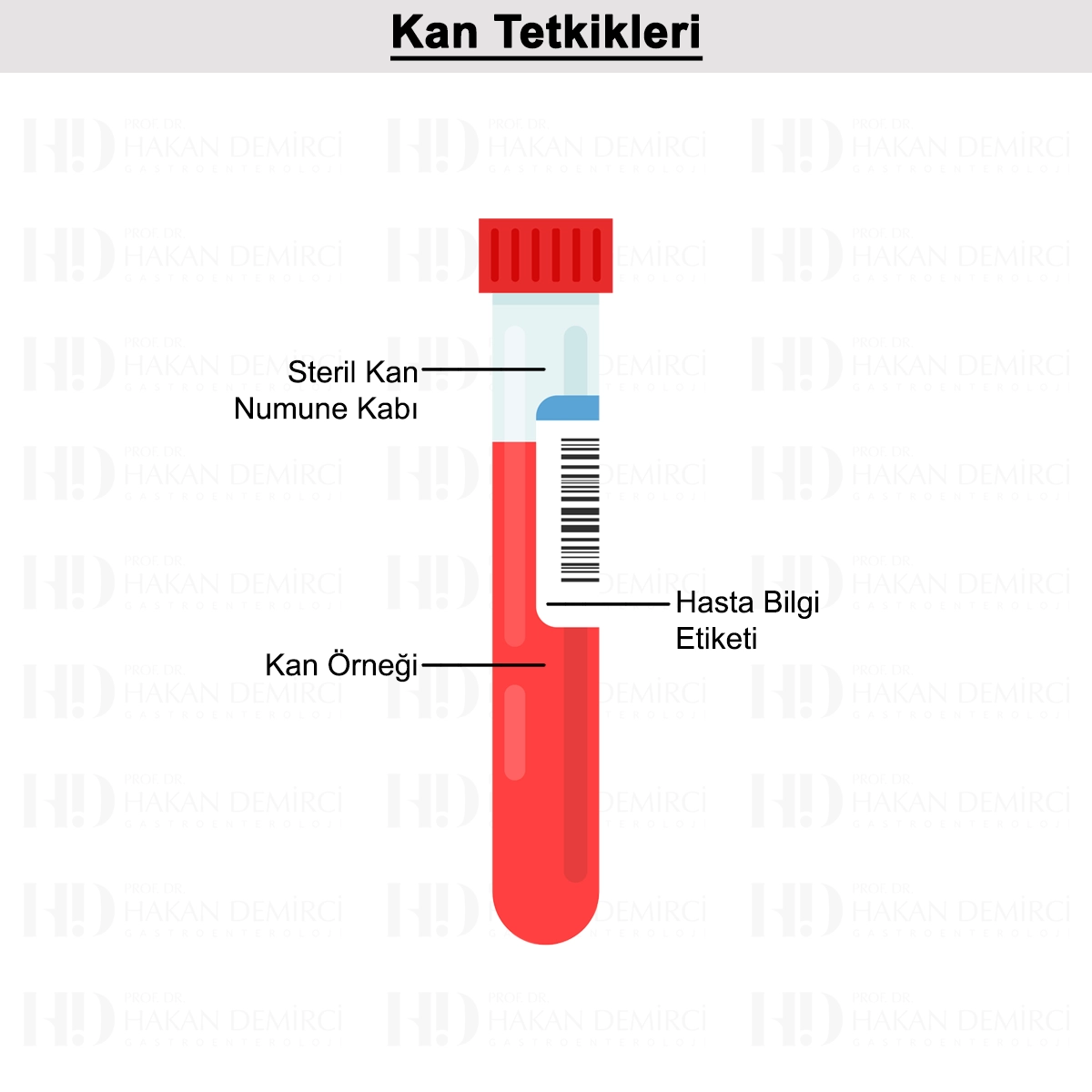 Kan Tetkikleri: Karaciğer, Pankreas, Emilim ve Anemi