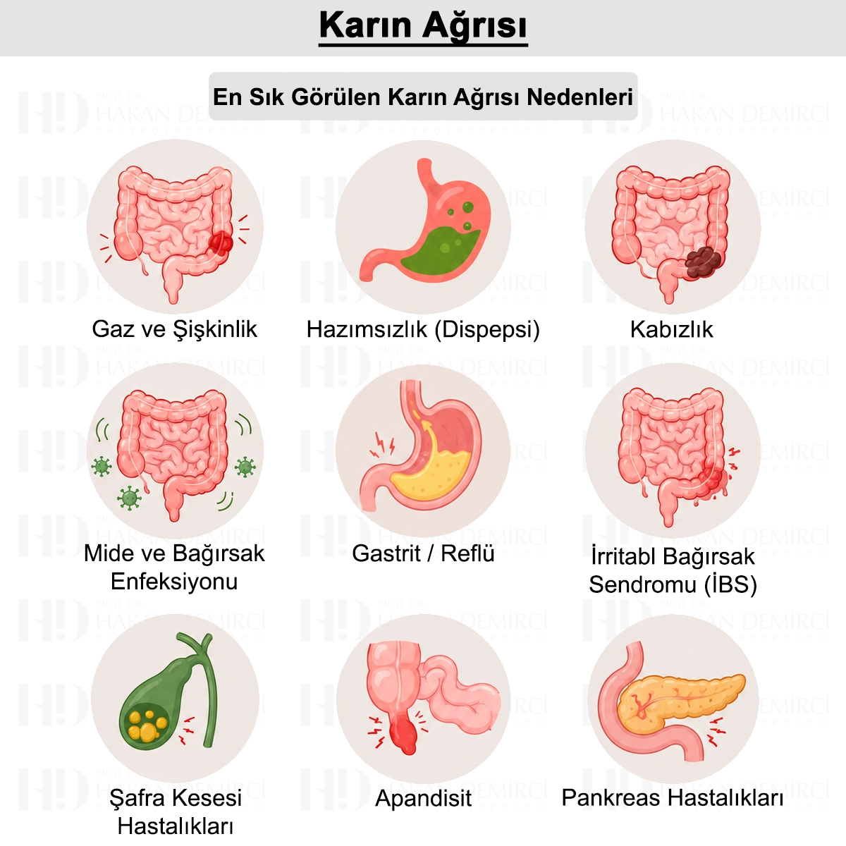 Karın Ağrısı: Neden Olur? Nasıl Geçer? Tedavisi?
