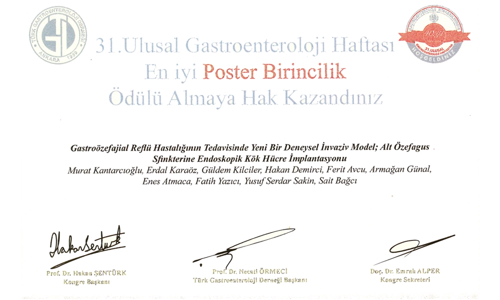 En İyi Poster Birincilik Ödülü